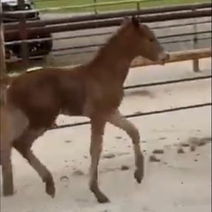 Meet your Posher, Maggie